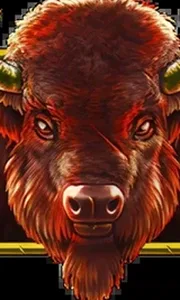 Wildlife